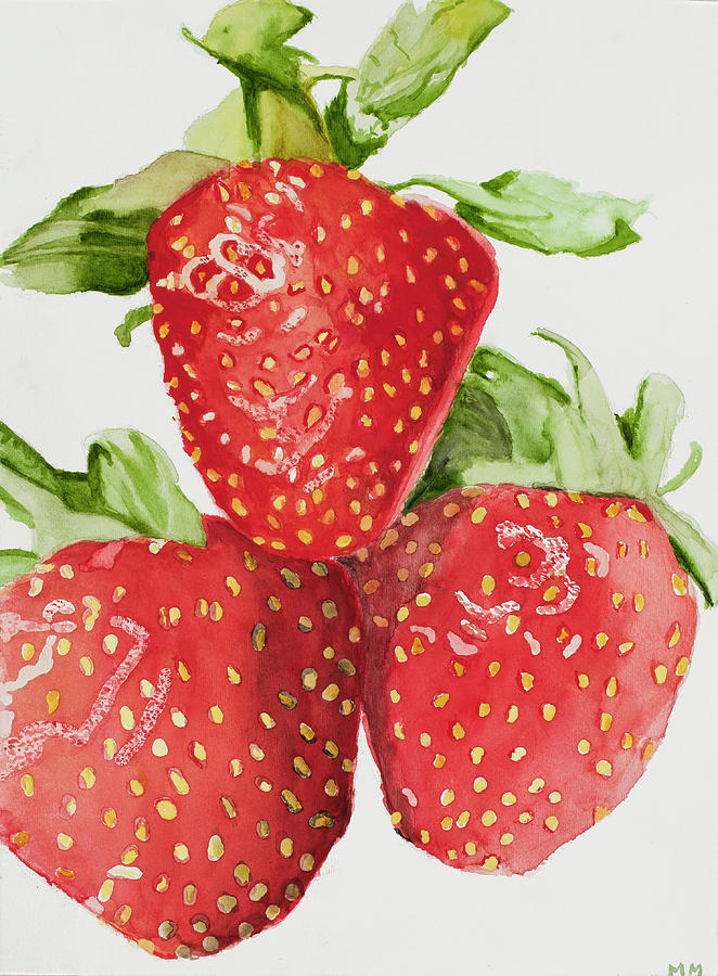 Strawberry Painting - Strawberries by Marcella Morse