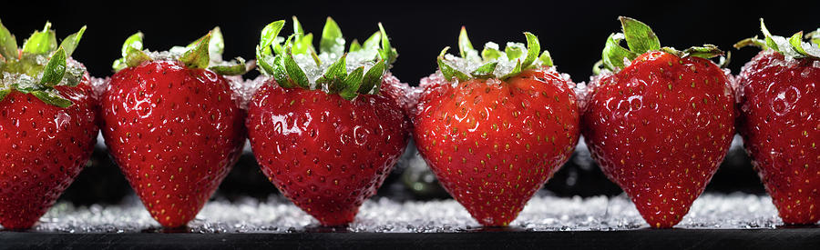 Strawberries Panorama Photograph