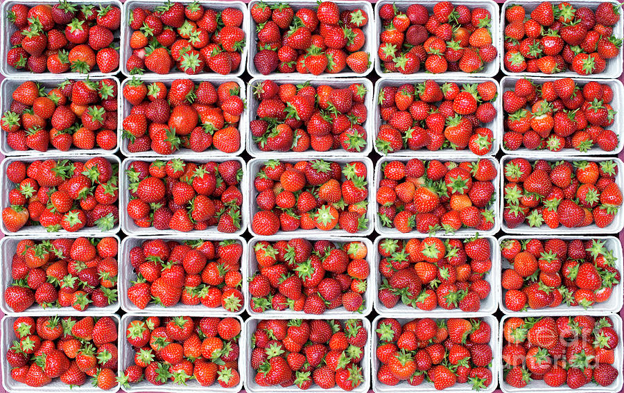 Strawberries Photograph by Tim Gainey