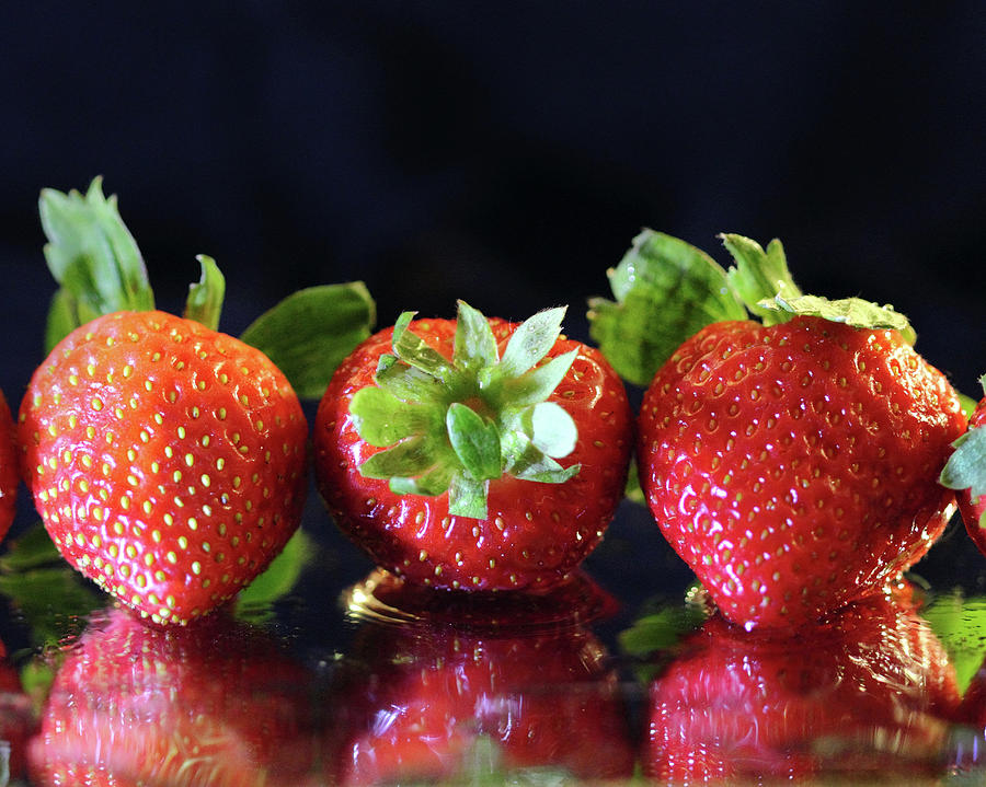 Strawberris in a Row Photograph by Angela Murdock