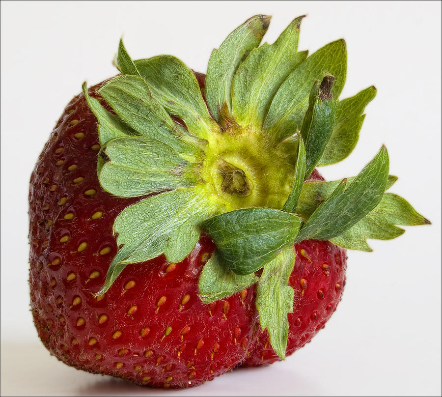 Strawberry 2 Photograph by Robert Ullmann