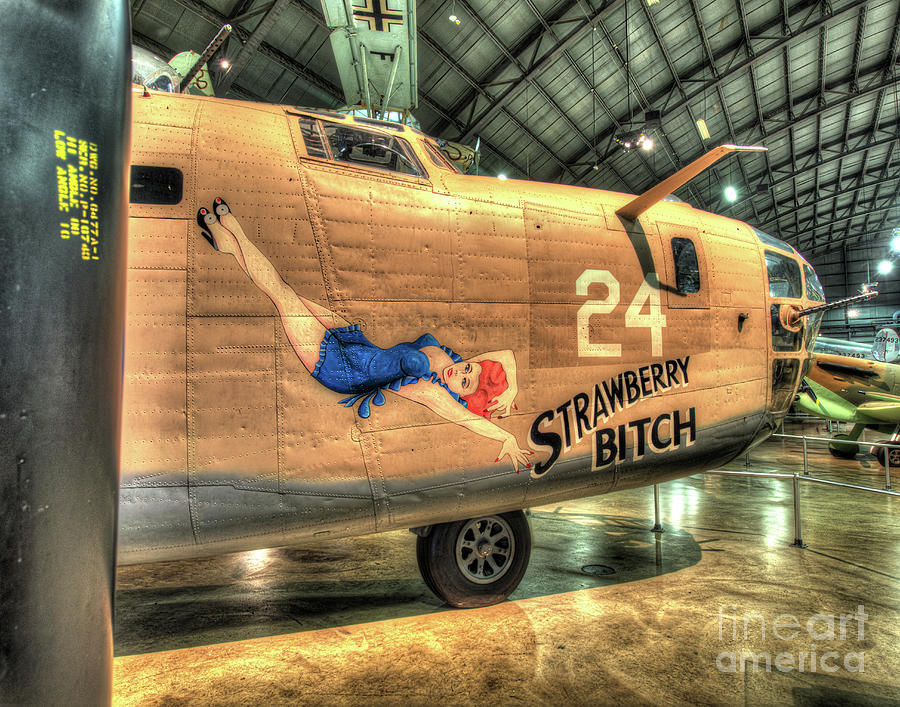 Nose Photograph - Strawberry Bitch, Consolidated B-24D Liberator by Greg Hager