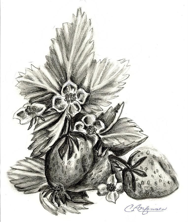 Strawberry delight Drawing by Carol Allen Anfinsen