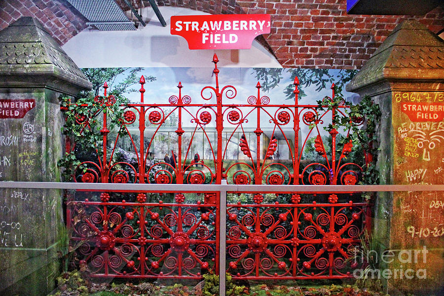 Strawberry Fields Forever Photograph by Doc Braham