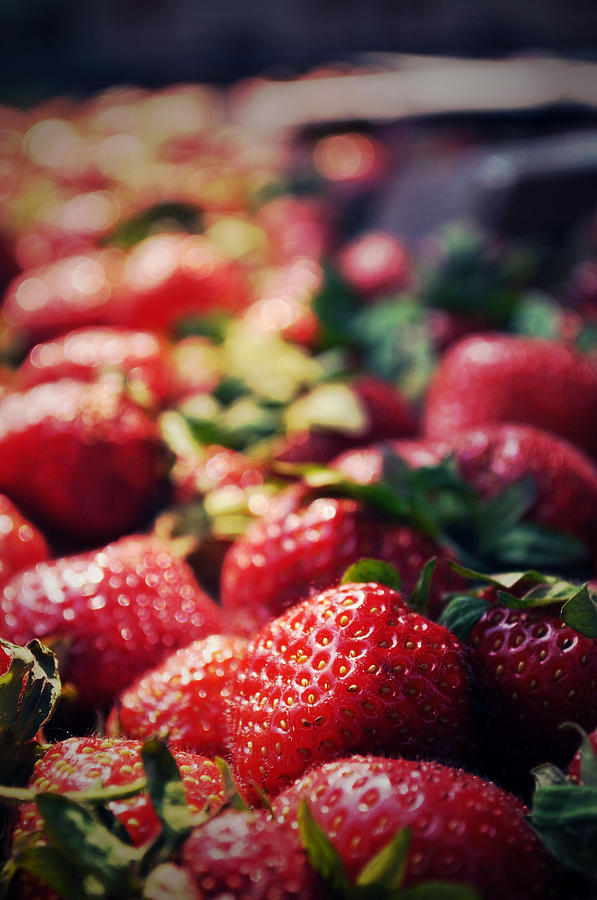 Fruit Photograph - Strawberry Fields Forever by Kim Olszewski