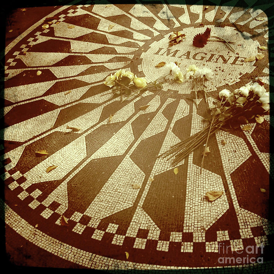 Strawberry Fields Photograph by Onedayoneimage Photography