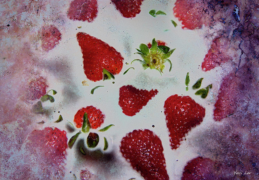 Strawberry Heaven Photograph