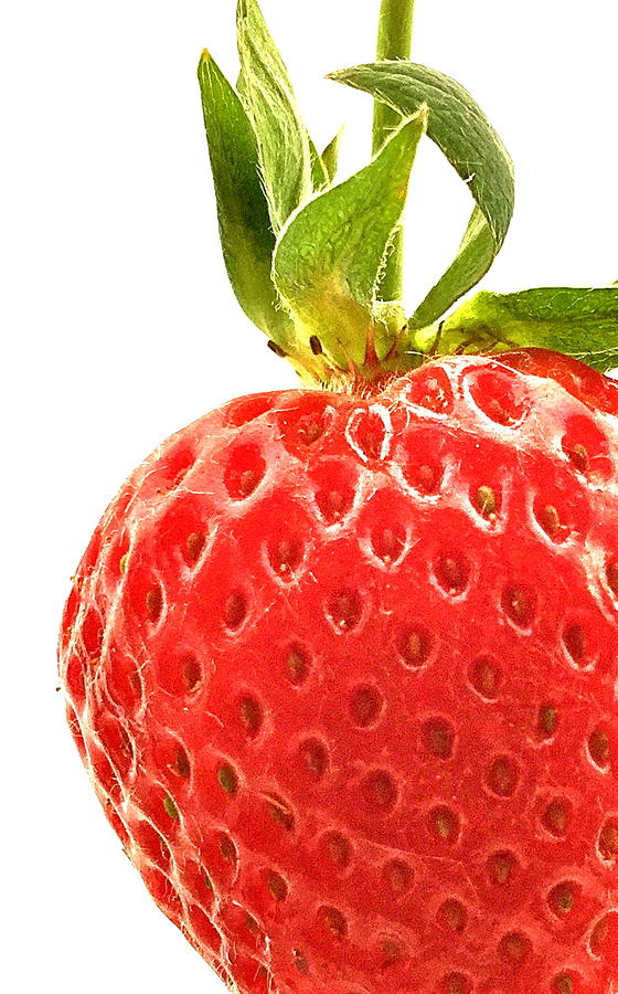 Strawberry Macro Photograph