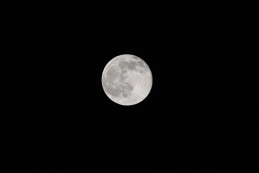 Strawberry Moon Photograph by Jodi Vetter | Fine Art America