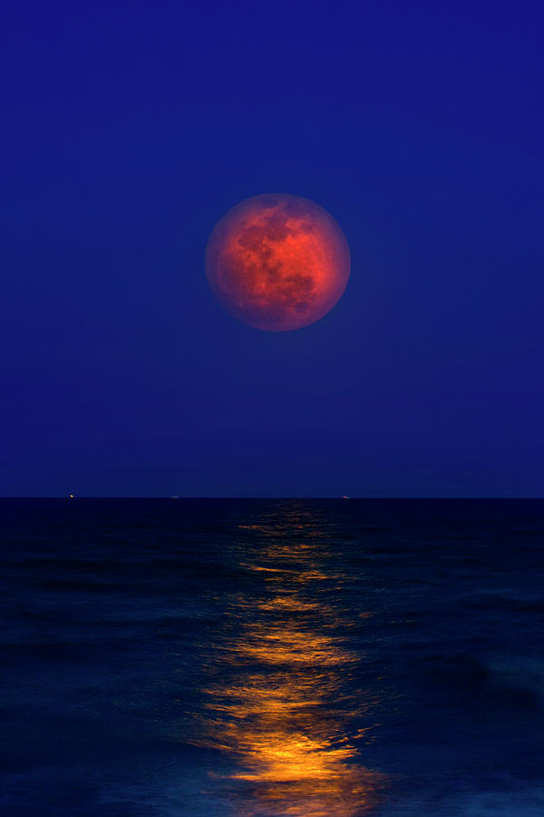 Strawberry Moon Photograph by Mark Andrew Thomas