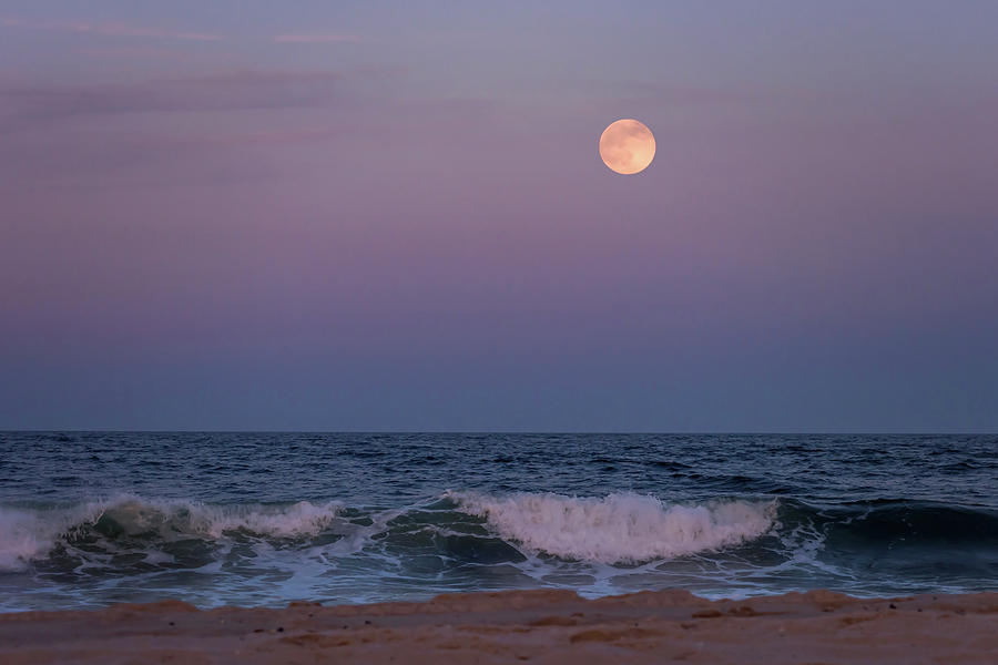 Strawberry Moon over Ocean Lavallette NJ June 2016 Photograph by Terry DeLuco