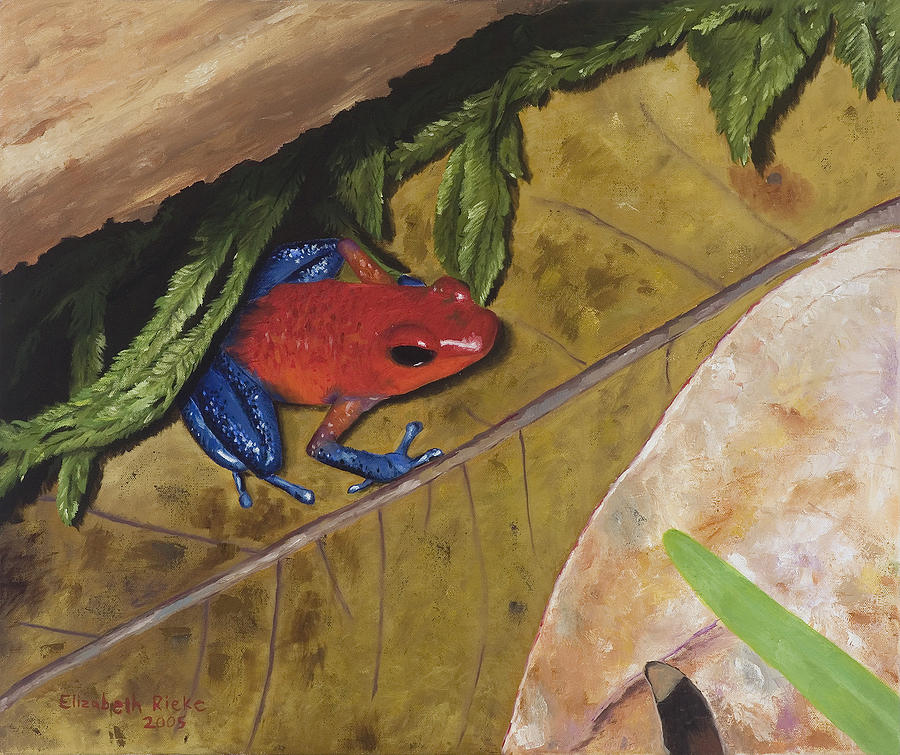 Amphibians Painting - Strawberry Poison Dart Frog by Elizabeth Rieke Hefley