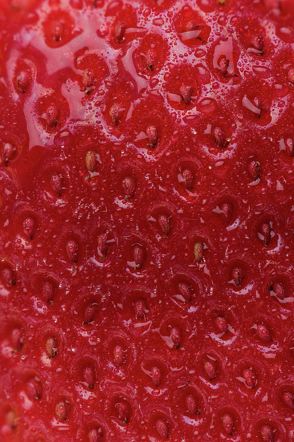 Strawberry Skin Photograph