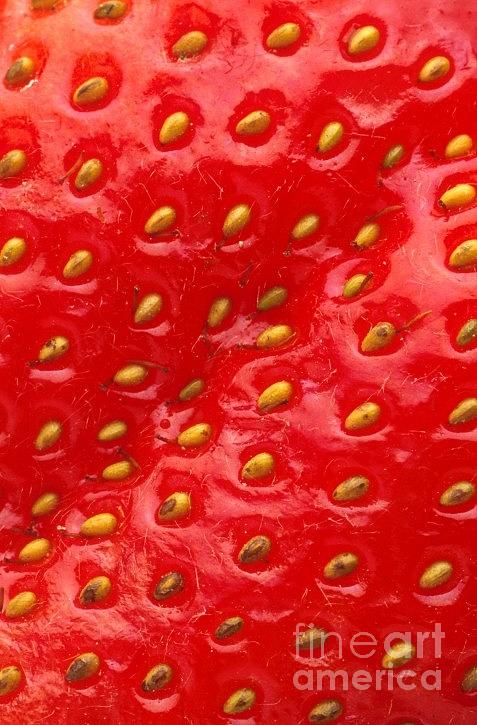 Strawberry up close Photograph by Vintage Collectables