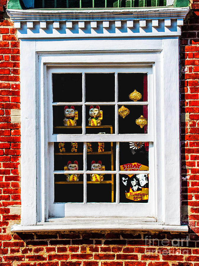 Stray Cats Window Photograph by Frances Ann Hattier