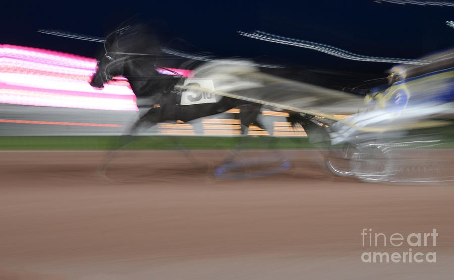 Horse Photograph - Streaking To The Finish by Jim Cook