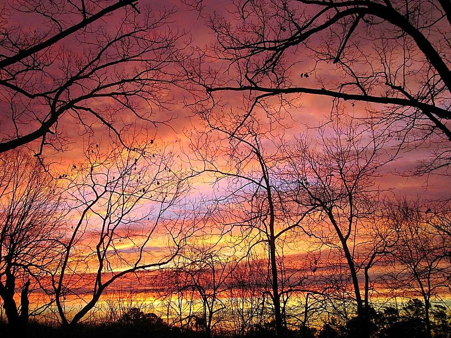 Streaks of Color 2 Photograph by Betty Buller Whitehead