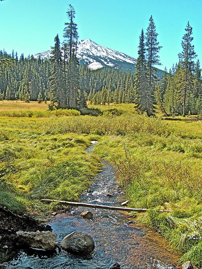 Stream and Mount Bachelor, Oregon Lakes Scenic Byway, Oregon Photograph by Ruth Hager