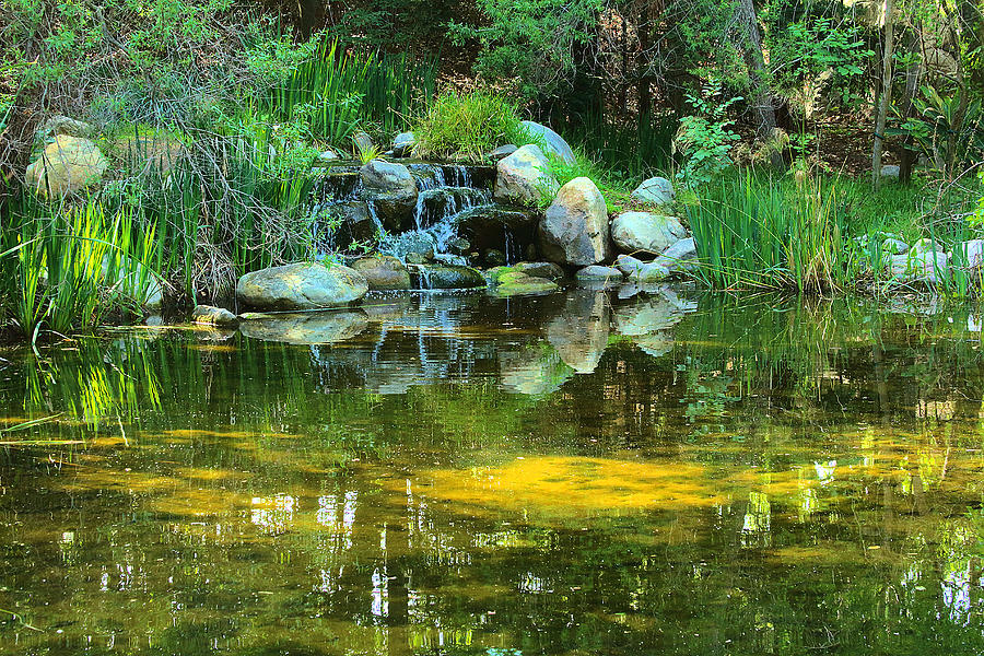La Canada Flintridge Photograph - Stream At Descanso Garden by Viktor Savchenko