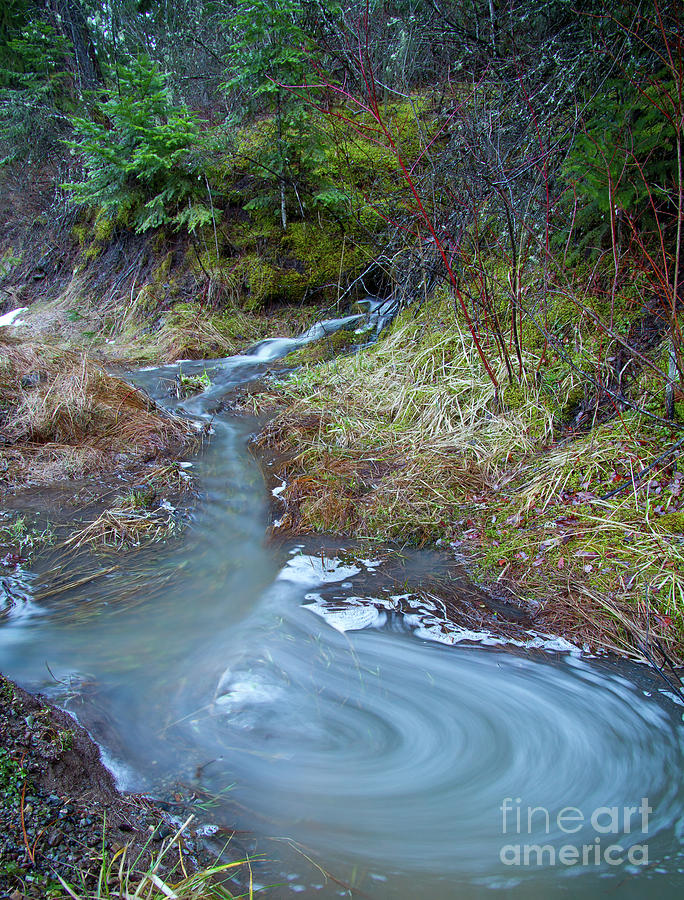 Nature Photograph - Stream Eddy by Idaho Scenic Images Linda Lantzy