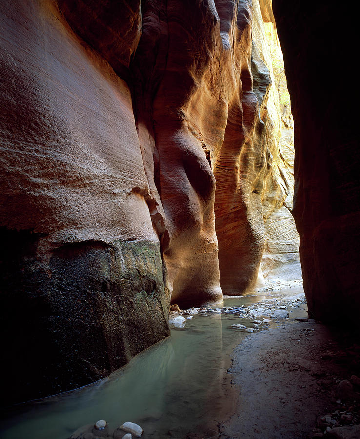 Stream flowing through a slot canyon, Orderville Canyon, Zion National Park, Utah, USA Photograph by Panoramic Images