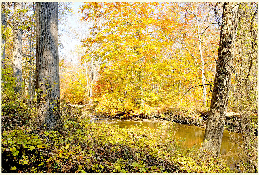 Stream in Autumn, Montgomery County, Pennsylvania Photograph by A Macarthur Gurmankin