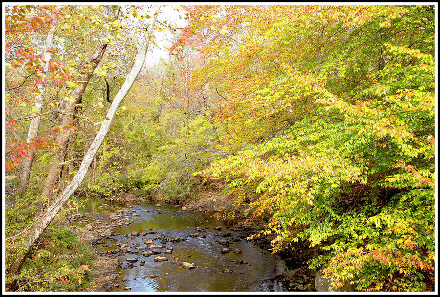 Stream in Fall, Montgomery County, Pennsylvania Landmark Photograph by A Macarthur Gurmankin