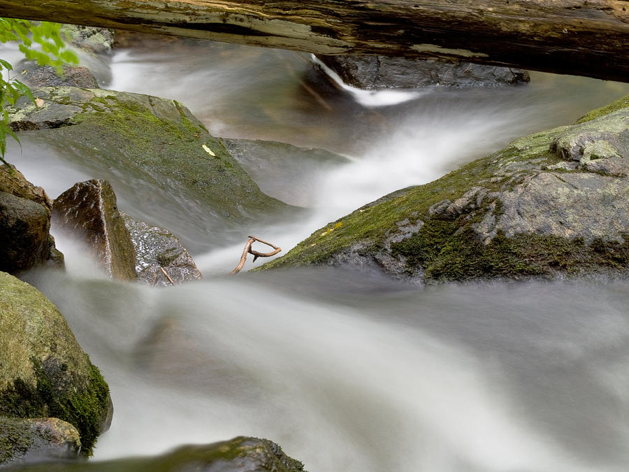 Stream Photograph - Stream in Motion by Jim DeLillo