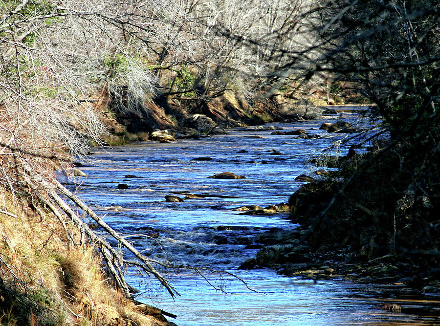 Stream In The Footlhills Photograph