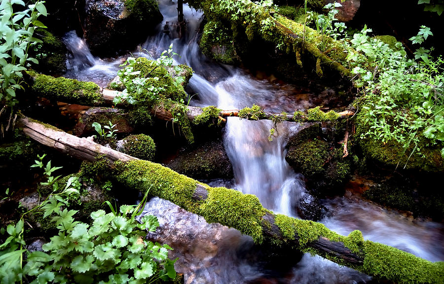 Mountain Photograph - Stream of Consciousness by Steven Milner