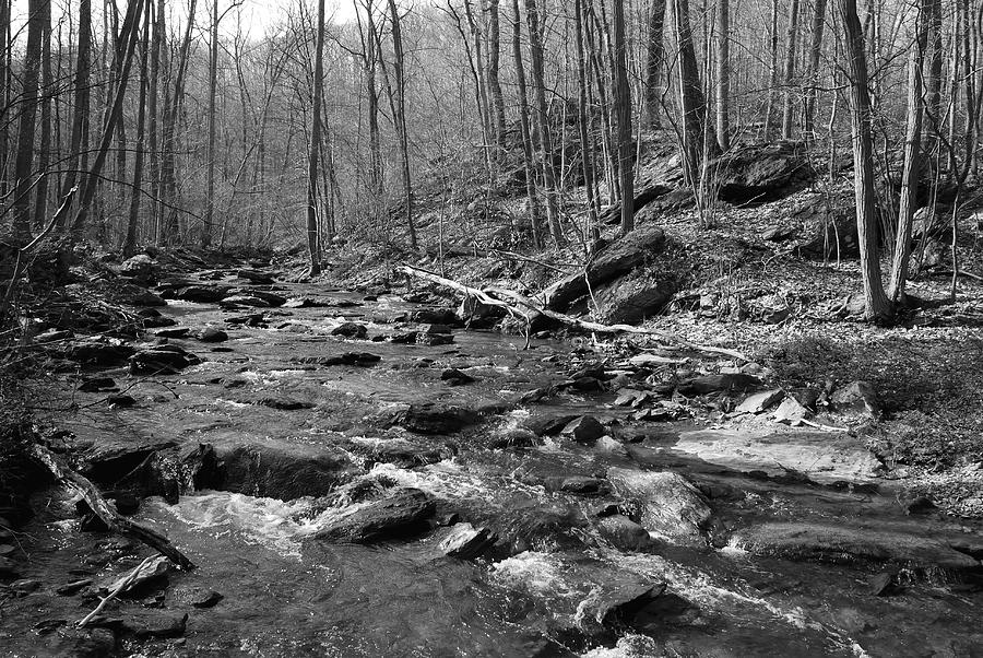 Stream Of Rocks Bw 2 Photograph By Brian Williams - Fine Art America