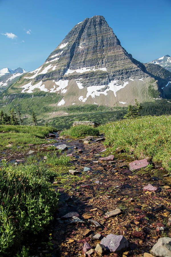 Stream on Hidden Lake in Glacier National Park  Photograph by John McGraw