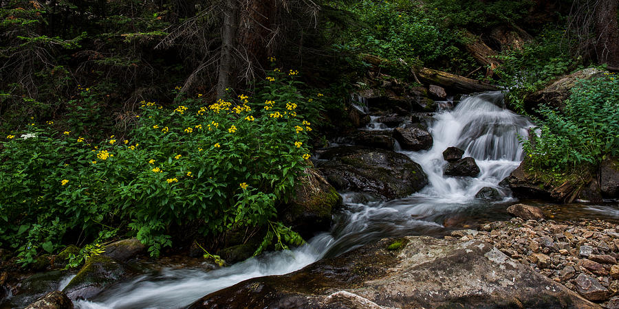 Stream - Rocky Mountain Natioanal Park Photograph by Aaron Spong