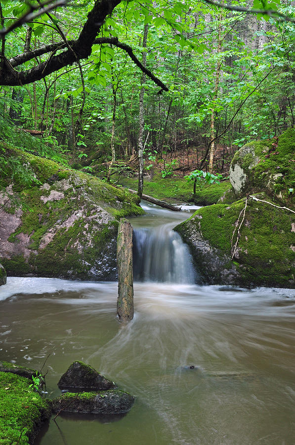 Stream Waterfall Photograph by Glenn Gordon