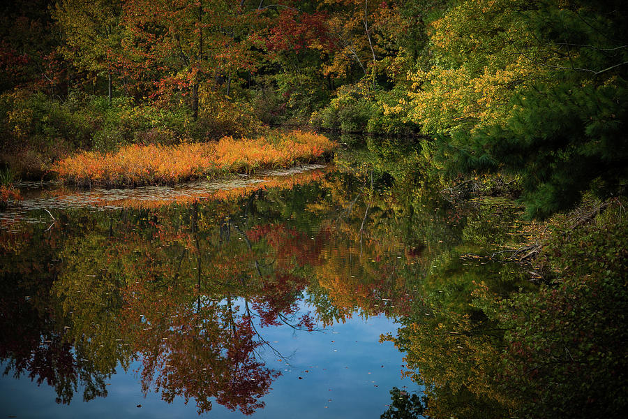 Stream With Golden Bushes 4 Photograph by Mark Beecher - Fine Art America