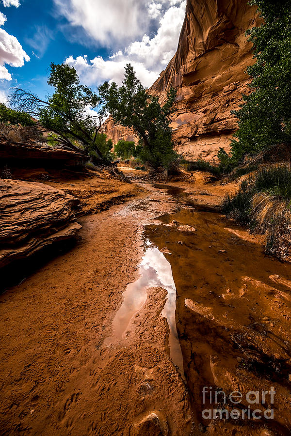 Streambed Reflection in Horseshoe Canyon - Utah Photograph by Gary Whitton