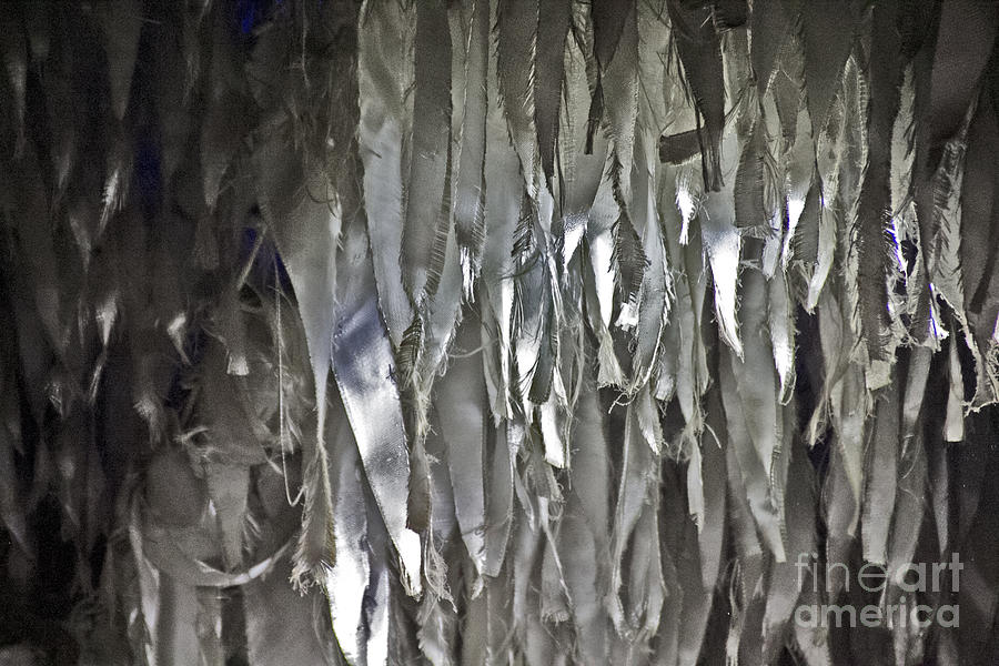 Streamers Silver Hanging Photograph by David Frederick