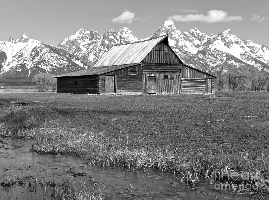 Streaming By The Moulton Barn Black And White Photograph by Adam Jewell