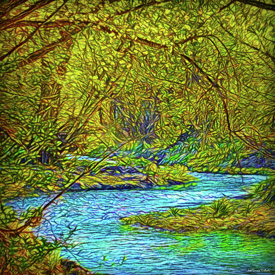Streaming Forest Dream Digital Art by Joel Bruce Wallach