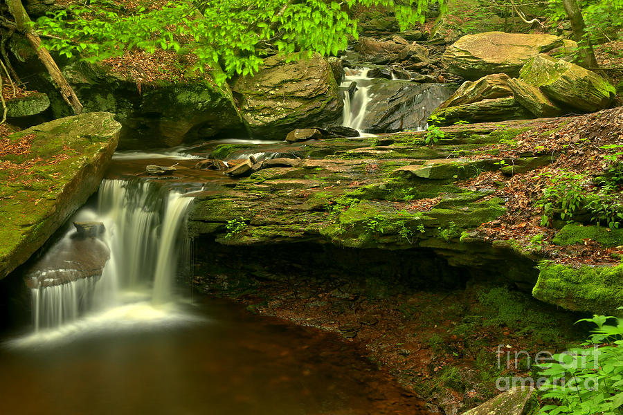 Streaming Into The Pool At Ricketts Glen Photograph by Adam Jewell