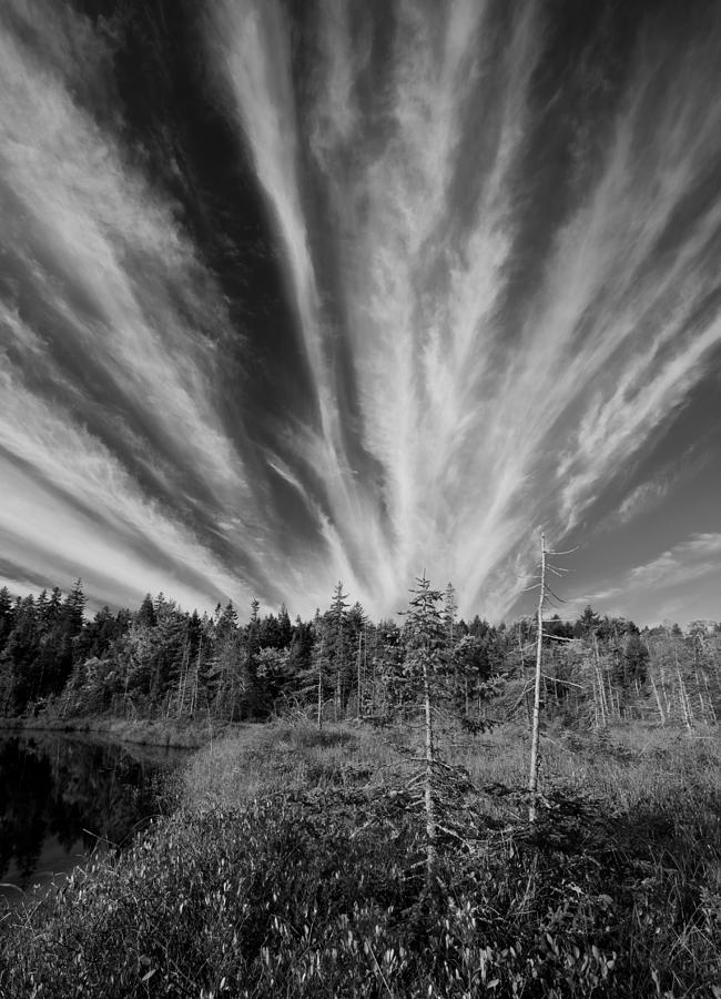 Streaming Sky Photograph by Irwin Barrett