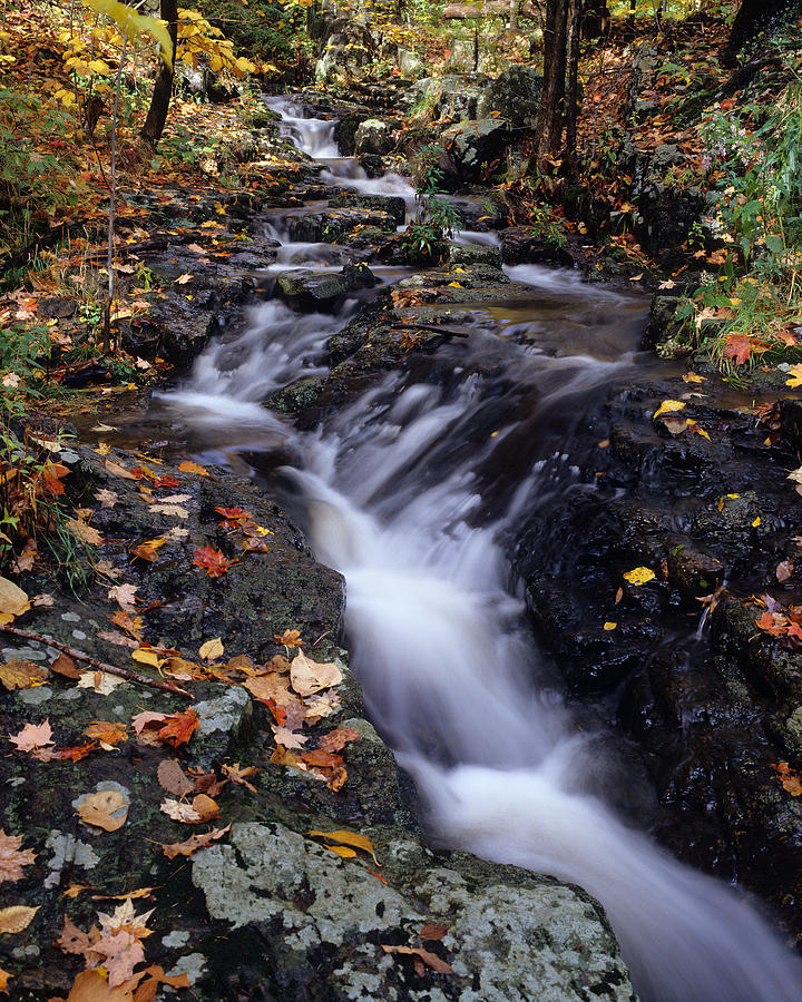 Streaming Photograph By Steven Sachs - Fine Art America