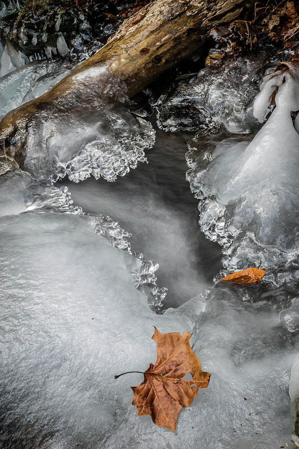 Stream's Icy Portal by Gary Bond Stream's Icy Portal by Gary Bond