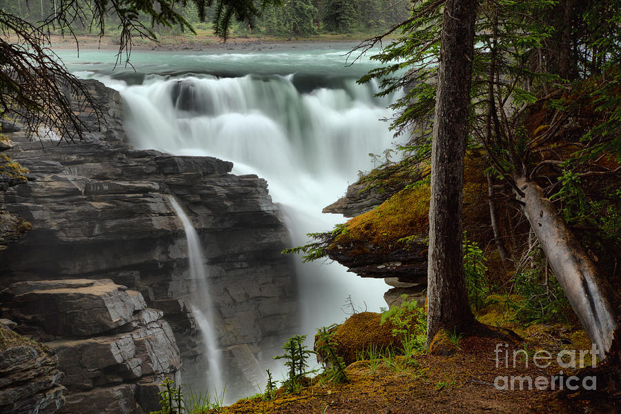 Streams Of Athabasca Falls Photograph by Adam Jewell