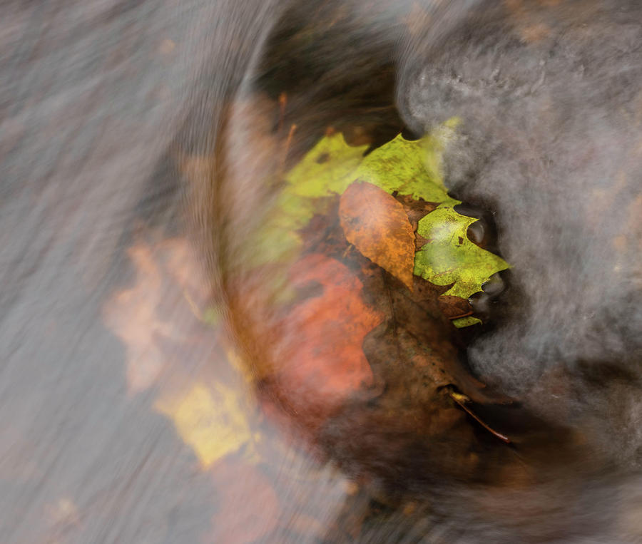 Streams of Autumn Photograph by Jody Partin