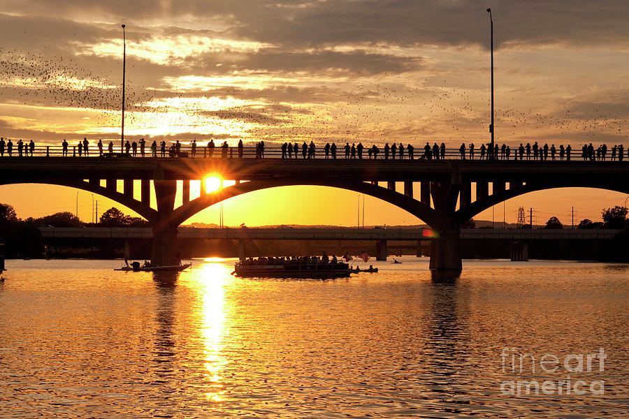 Streams of Bats take evening flight from Congress Bridge as sun rays punch through a bridge column Photograph by Dan Herron