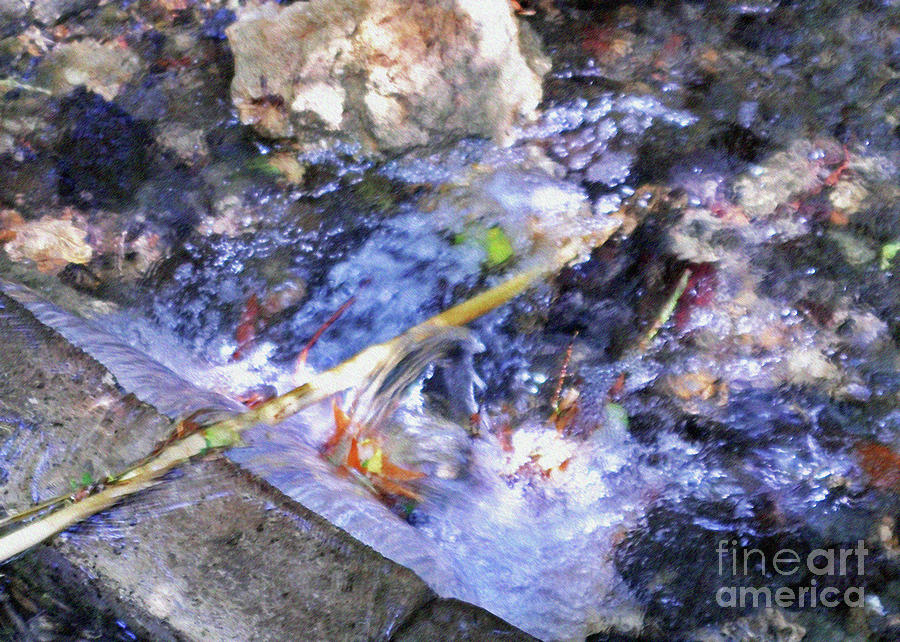 Streams Of Color  Photograph by Lydia Holly