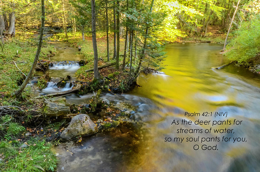 Streams - Psalm 42.1 Photograph by Tom Clark | Fine Art America