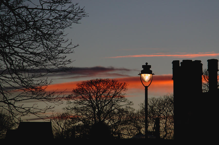 Streetlight At Sunset Photograph by Adrian Wale