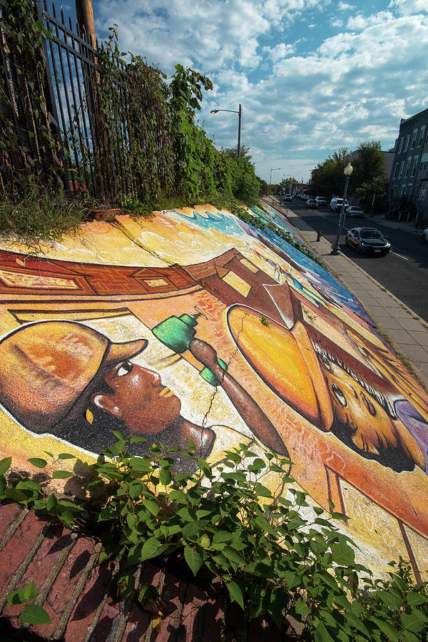Street Art at Washington D.C. - CULTIVATING THE REBIRTH 3 Photograph by Riccardo Forte